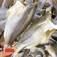 �|�~�� �ؔ� ��� ��ˮ�|�~�� �����|�~ �R�� �R�� �ش�̖�|�~��