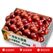 2025���|�����������5����ë���Ӵ�������������|����������]9