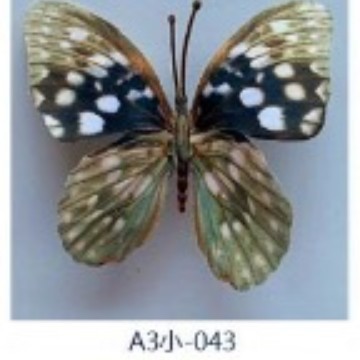 模擬 3D 蝶の花模擬造花 DIY 蝶のカラフルな人気の蝶の装飾クリエイティブジュエリー工場卸売|undefined