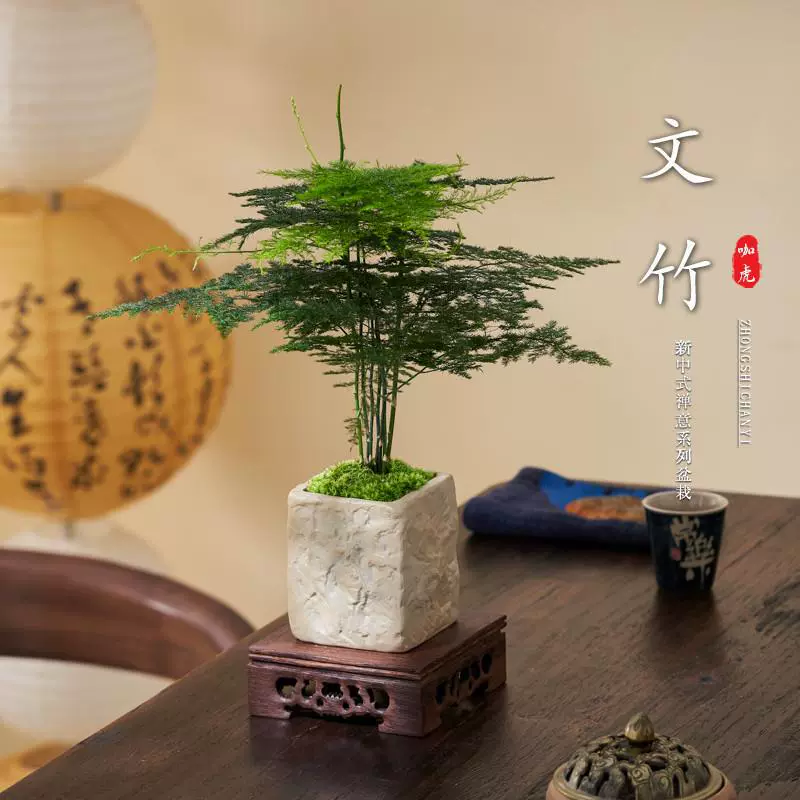 Wenzhu горшечные комнатные офисные зеленые растения гостиная журнальный столик столешница микро-ландшафтный весело креативные мини-растительные украшения