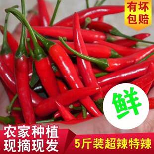 �Ĵ����r���������t�����콷С�⽷���ǽ�0.5-5����