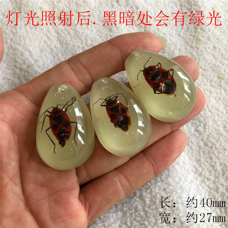 儿童挖掘考古昆虫标本 合成树脂琥珀昆虫 散装水滴盲盒标本现货|undefined