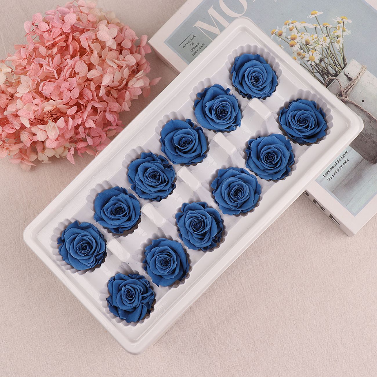 Cabezas de Rosa Eternas A+, 3-4 cm, 12 Piezas, Materiales para Manualidades Florales, Caja de Regalo, Fabricante, Venta al por Mayor
