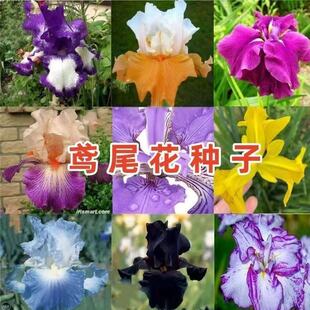 �{���Sβ�N�ӻ�����β�ļ����N�_���׻�ͥԺ���^�G��������ꎷN��