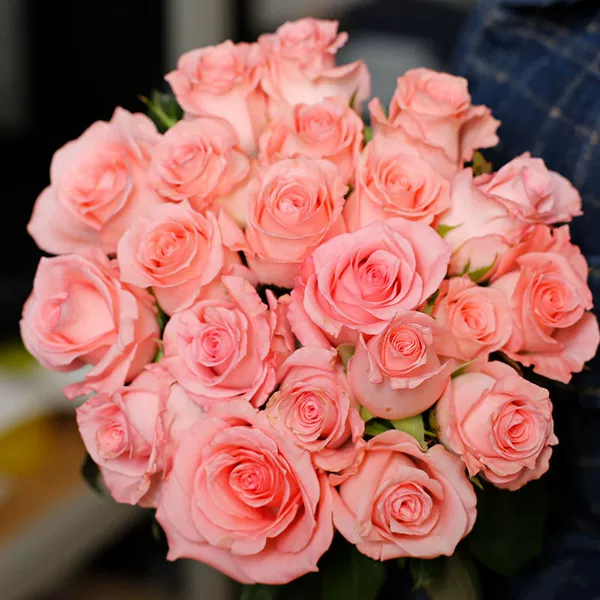 10 single-headed pink roses★