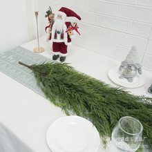 �羳��������ɰ��~�ٗl�����ָ���PE�ɰ��~183CM�����}�Q�ٗl