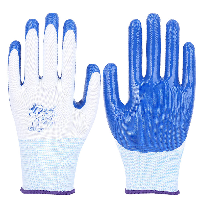 싱차오 딩란 12 쌍 [경제]]