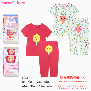carter���Q������Ů�����B�w�냺�������b���S�F؛���l��N��ɫ