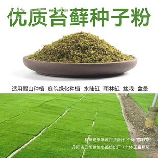 ��ֱͨ�N̦�\�N�ӷ�ĩ��ˮʯ��ɽ��ˮʯ�辰�r����̦�N��̦�\����