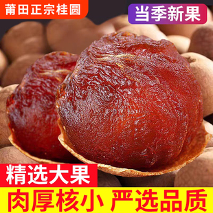 ���۹��A�Ɏ���������ڸ����خa������ؼ����؛��ˮ�������l