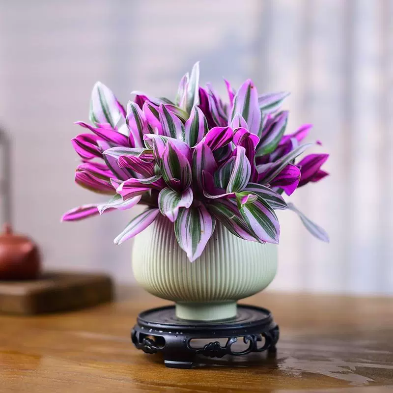 Картина маслом свадебная подвесная орхидея в горшке для дома, офиса, зеленое растение, простое в уходе, фиолетовая орхидея, бонсай в китайском стиле, простое в уходе.