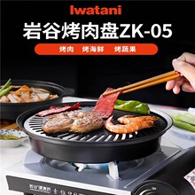 �ҹ�ZK-05�nʽ���P����PҰ����ⲻճ��P��ʽ�t
