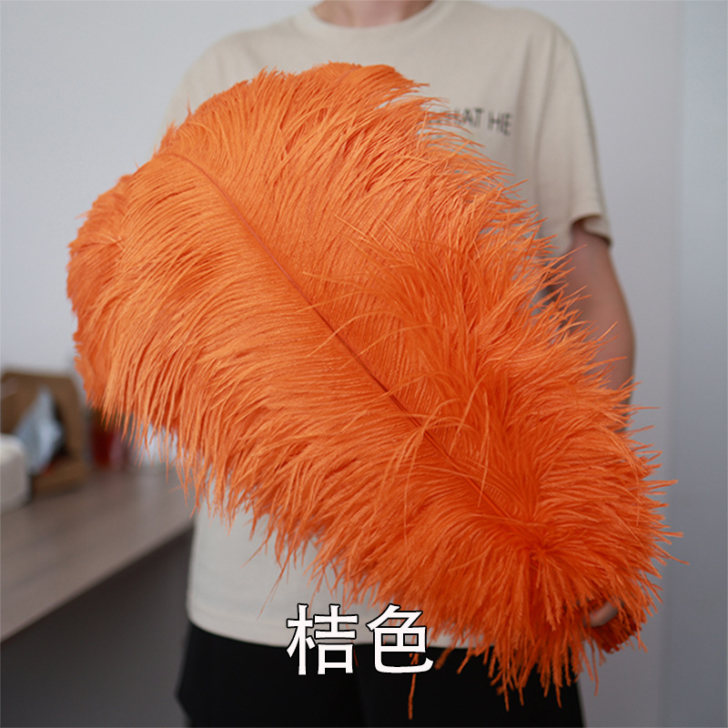 55 - 60cm plumas de avestruz de Sudáfrica al por mayor accesorios de ropa DIY accesorios materiales accesorios de diseño de boda lana de avestruz