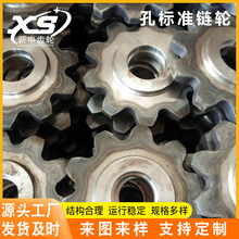孔标准链轮单双排双节距链轮滚子链轮工业传动金属输送链轮现货