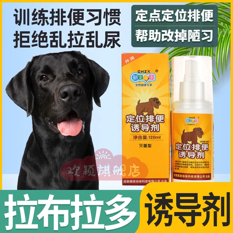 Лабрадор Собаки, предназначенные для туалета, чтобы найти индукцию дефекации