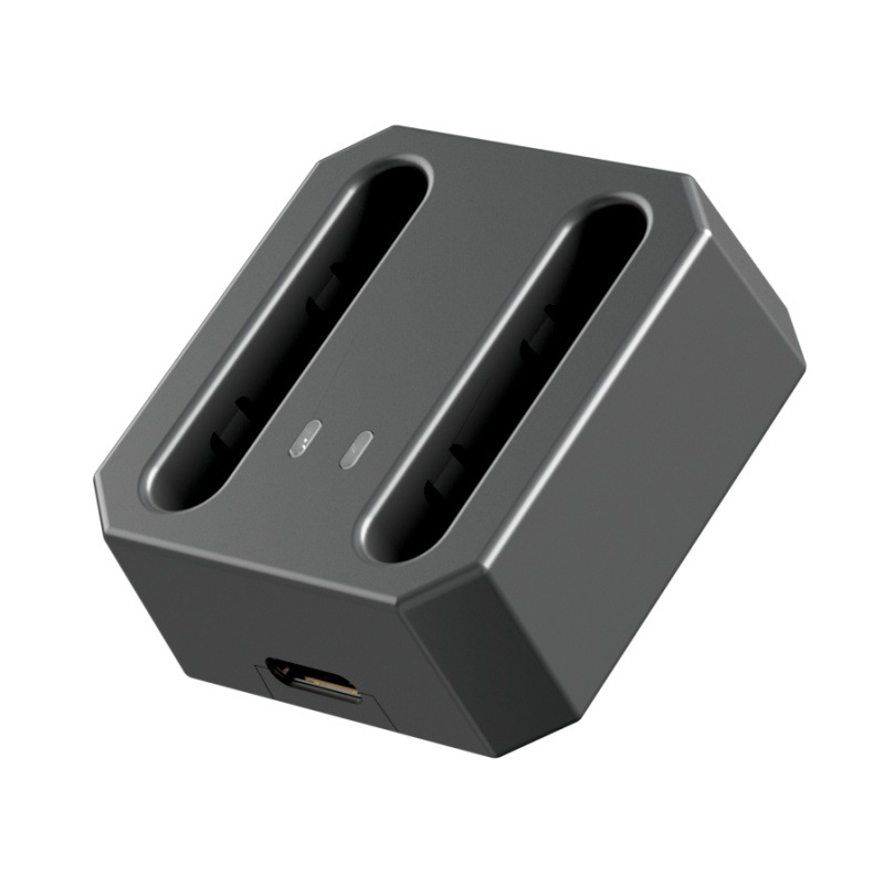 Dual battery charger