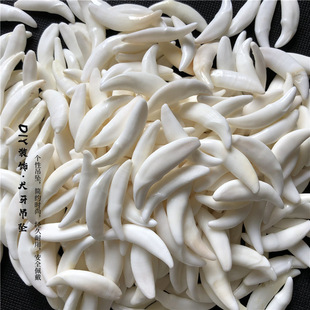 ���������湷�����K�����DIY�bؔ����u���s�r�Ђ��Ʒ���l