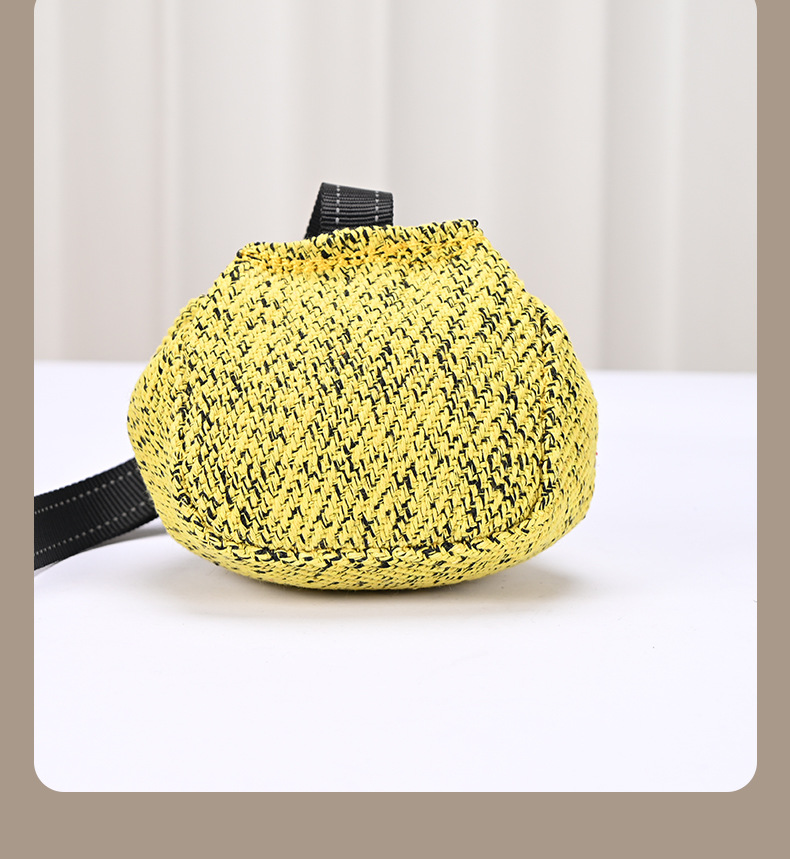 Dog Training Bite Ball Interactive Chew Toy Agility Equipment_voghion.com