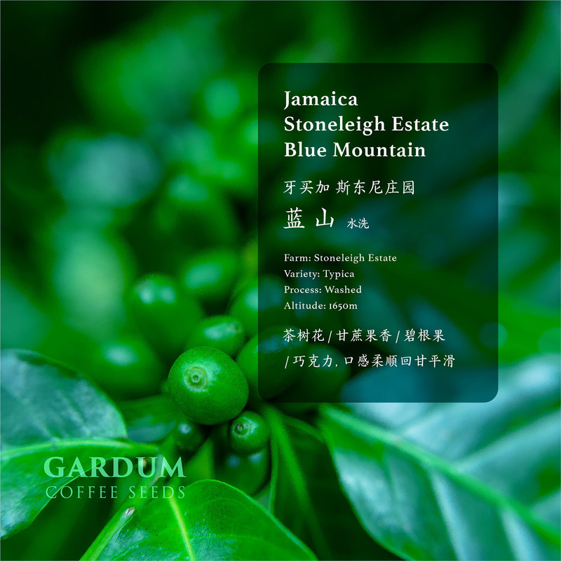 Source manufacturer Jamaica Stoney Manor Blue Mountain No.1 Coffee Bean Fresh Roasted Hand-made Coffee Powder 100g Source manufacturer Jamaica Stoney Manor Blue Mountain No.1 Coffee Bean Fresh Roasted Hand-made Coffee Powder 100g
