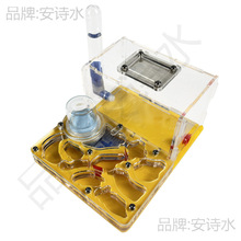 水器坊亚克力工观察记录幼儿园生物平面蚁巢喂蚂蚁巢幼儿蚂蚁农场