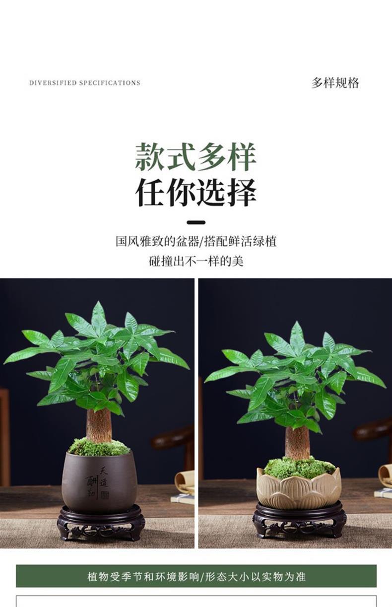 详情图