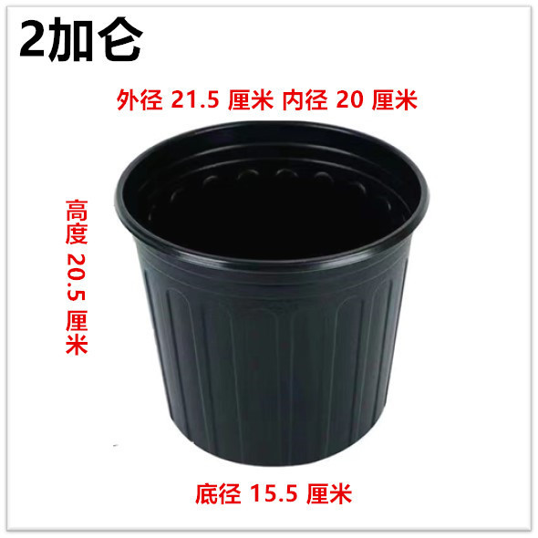 e46a838c-4908-44f2-8252-b0de1e1c0d88.jpe