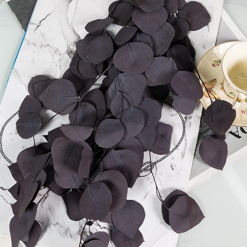 사과 잎 보라색 100g