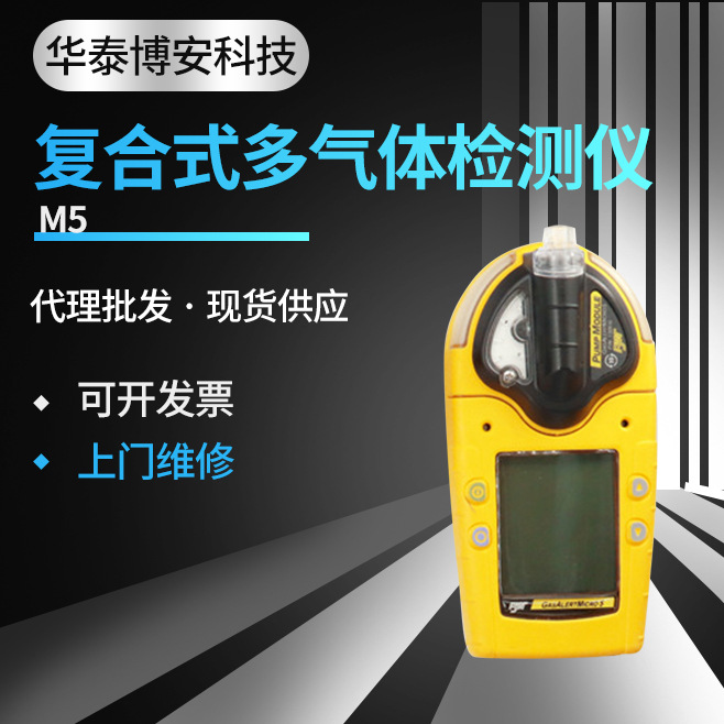 供应加拿大BW GasAlertMicro5系列复合式五合一多种气体检测仪