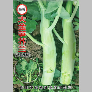 �����s�����S���m�N�� �֗l�t����о ����u�Ƚ��m�N��10��