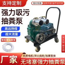 抽粪泵养殖场猪粪抽粪机家用化粪池无堵塞排污水泥浆水泵电动