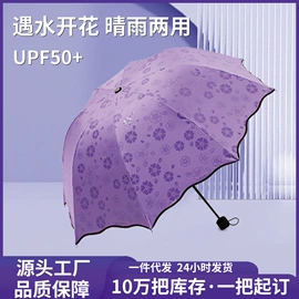 雨伞;晴雨伞;沙滩伞