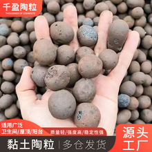 �������l���@�����p�|��������l���g���̏S�ҽ��B�͸ߜ��p�|����