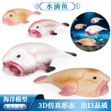 ����ʵ�ĺ����鶯��ģ��ˮ�������˲������ͯ��֪�����װڼ�