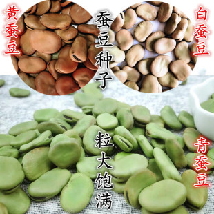 ���x�����Q���N�Ӵ����_�h���r�Һ����߮a���v���������ļ����N��