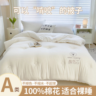 Class a Pure Cotton Quilt Winter Quilt Core Thickeneded and Warm Cotton Batting Student Dormitory Single Spring & Fall Universal Quilt