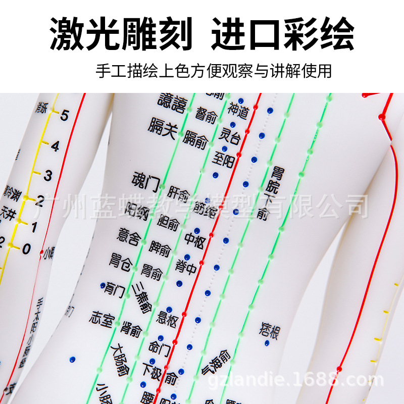 �������ģ���˾���Ѩλ��ҽȫ��ʮ��ͭ��ģ��ͼ��������ϰСƤ��