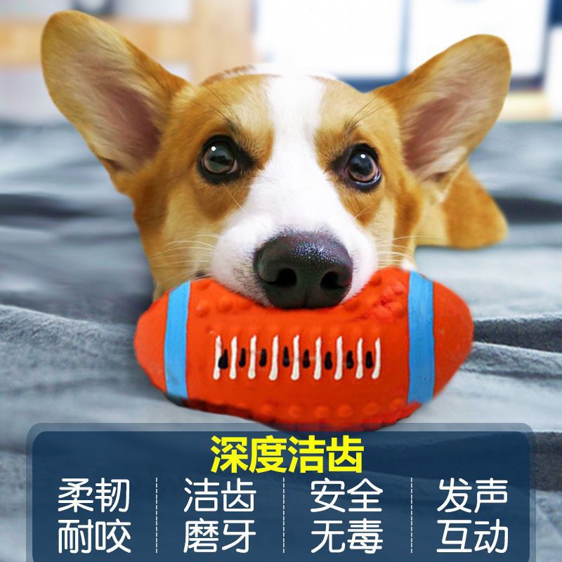 Dog Toy Ball, Bite-Resistant Supplies, Ball Toy, Dog Teeth Grinding, Sleeping and Venting, Dog Stall, Factory Direct Sales, Internet Celebrity