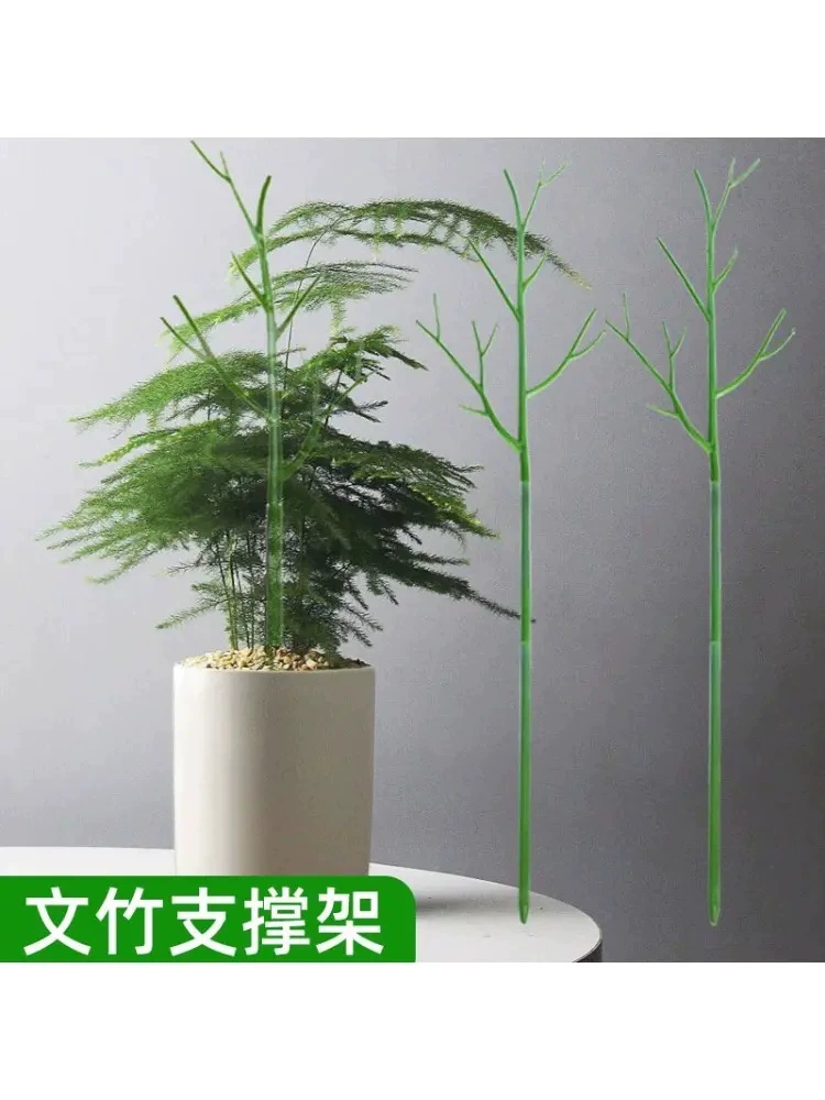 Опорная рамка для спаржи, фиксация растений, защита от обрушения, опорный стержень для монстеры, подставка для цветов, кронштейн для сада, стиль