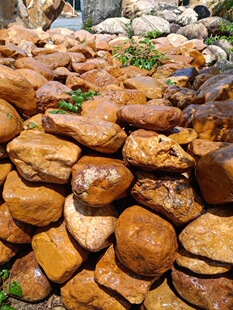 ��ʽͥԺ�SϞʯ��ɽ���̴����~�؇�߅�@���쾰ʯ���^ʯԭʯ�S�Dʯ