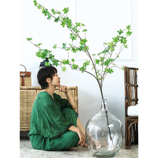 Scandinavian Simple Big Belly Glass Vase Japanese Hanging Clock Horse Drunken Wood Flower Arrangement Hydroponic Floor-Standing Transparent Large Vase
