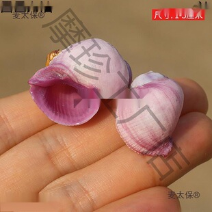 ������С��̫��ɺ���ľ�з��Q����Ȼ���ղ��~���b�ؐ��ϡ���Ͽ�