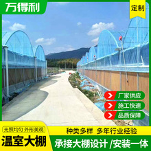 连体温室大棚农业花卉种植养殖骨架连栋果蔬钢架结构连栋装配式