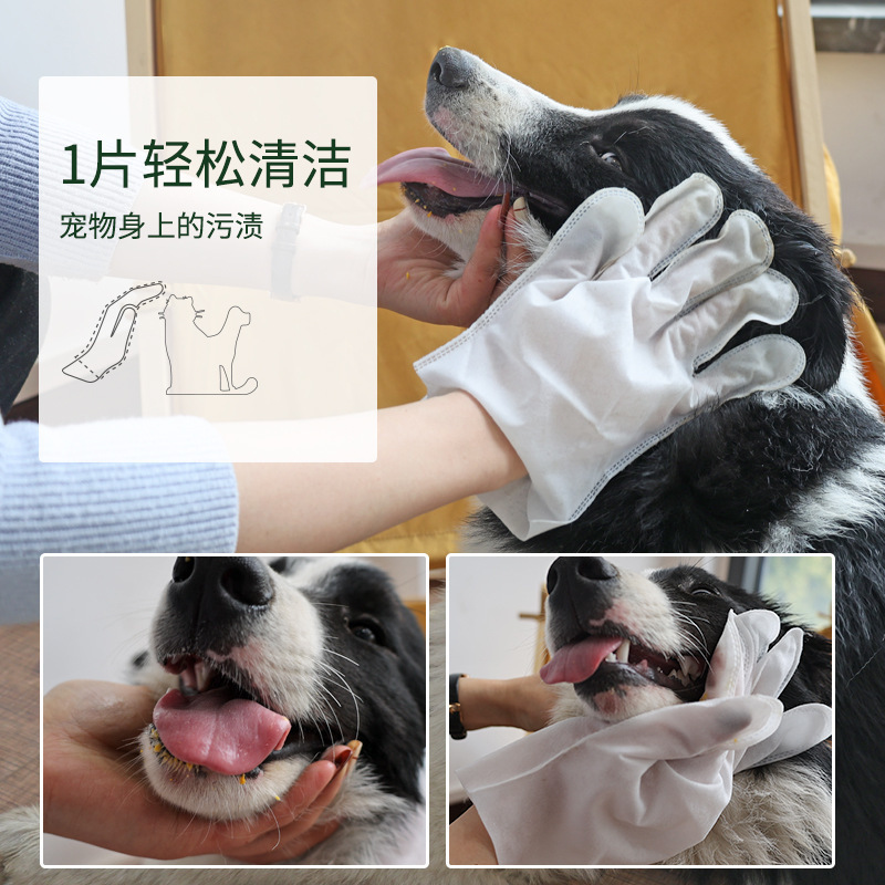 ペット用ウェットティッシュ猫用品手袋のティッシュは手を洗います。|undefined
