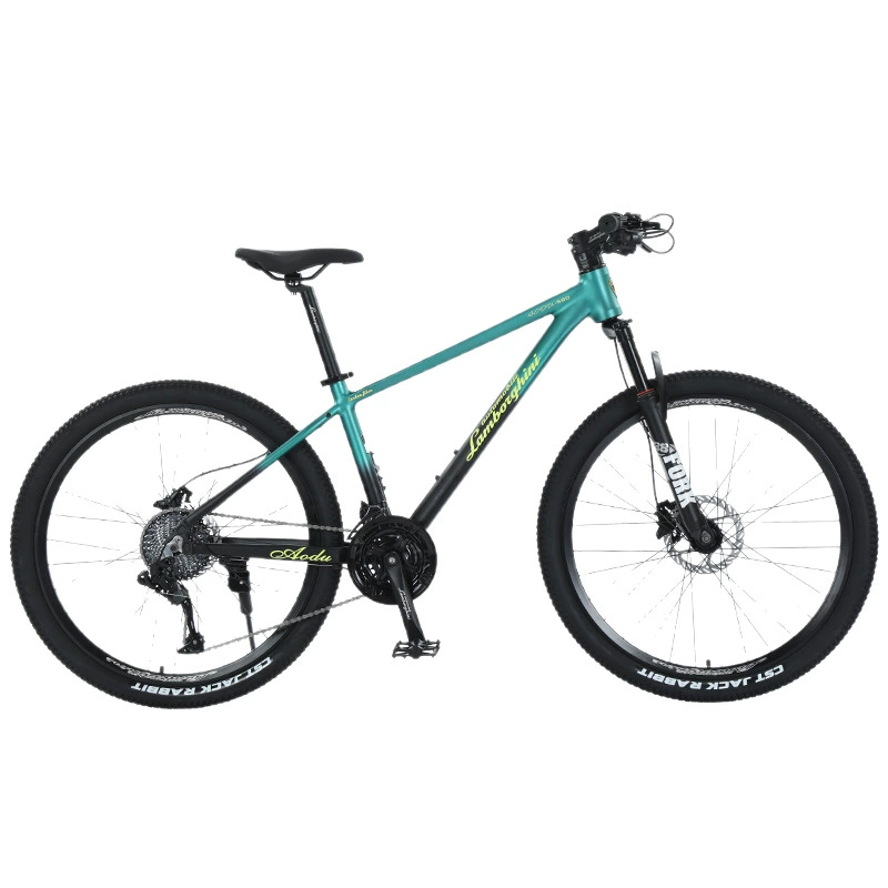 Lamborghini, mountain bike for elementary school students, Italy, official product, for teenagers