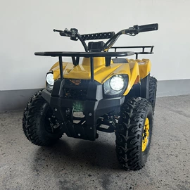 沙滩车;电动滑板车;平衡车