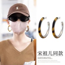宋祖儿同款玳瑁色豹纹耳环圈圈女2025新款爆款复古高级感C圈耳饰