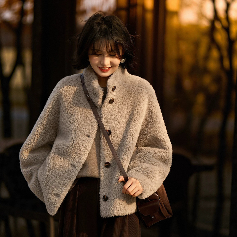 2026 Winter New Faux Wool Teddy Fur Integrated Fashionable Stand Collar Short Eco-Friendly Fur Coat for Women
