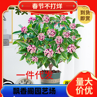 һ�����l��߅�������ԝ����͎������҃ȿ͏d�̨�ͺ��Ϙ������ļ�