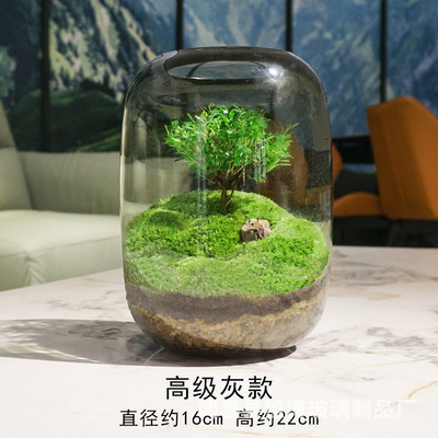 큰 에코 병 (꽃병 전용) 그을음