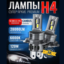 羳NӰProLED܇hH7H4led